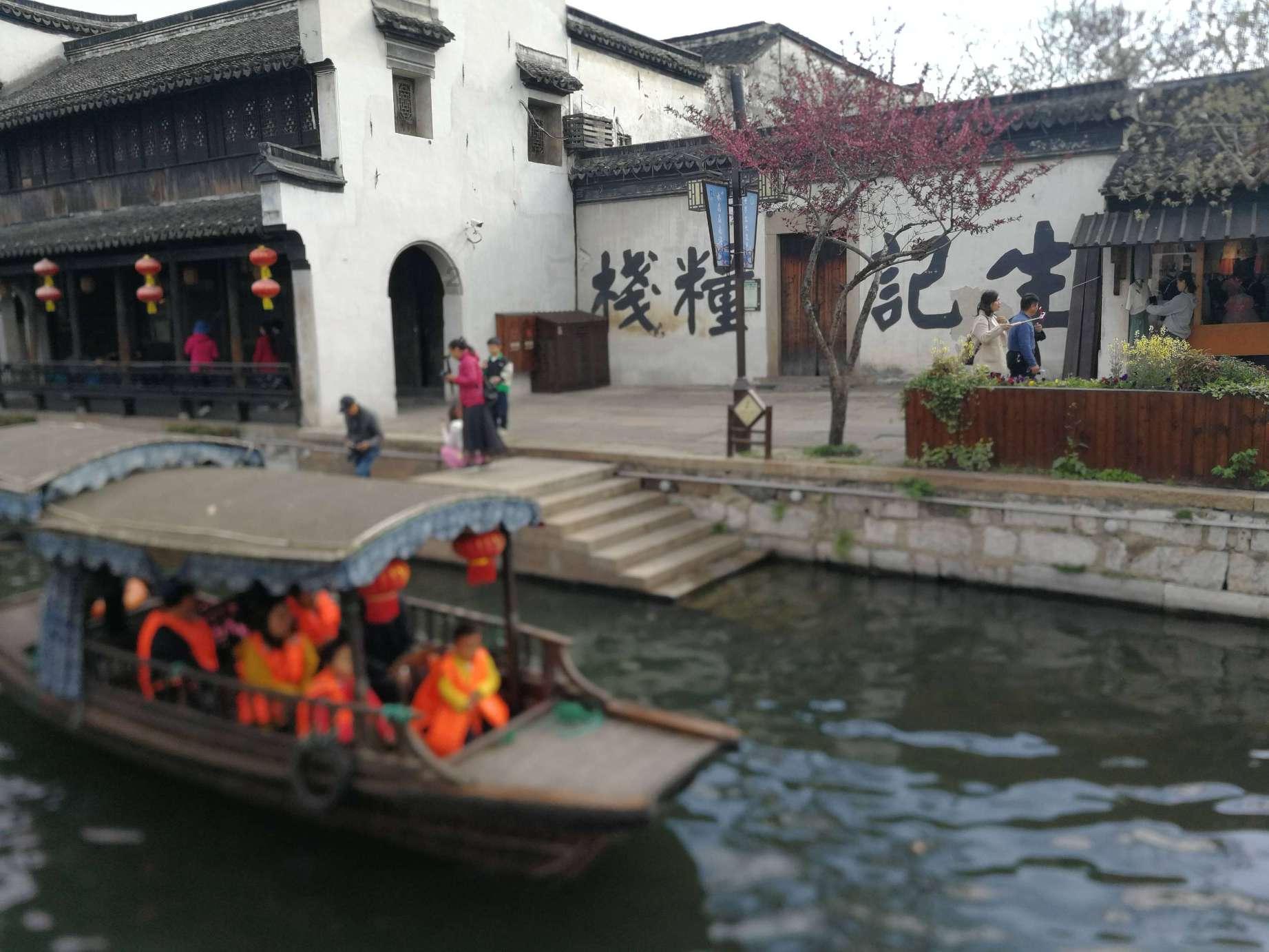 植物大战僵尸7